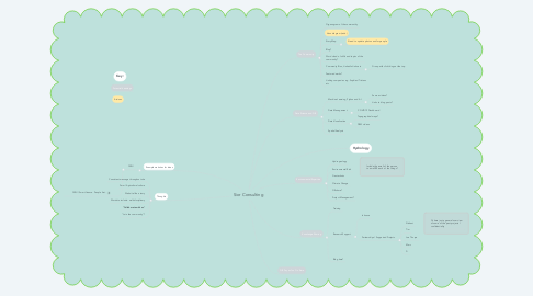 Mind Map: Sior Consulting