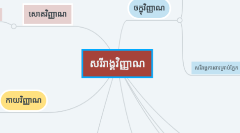 Mind Map: សរីរាង្គវិញ្ញាណ