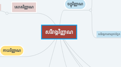 Mind Map: សរីរាង្គ​វិញ្ញាណ​