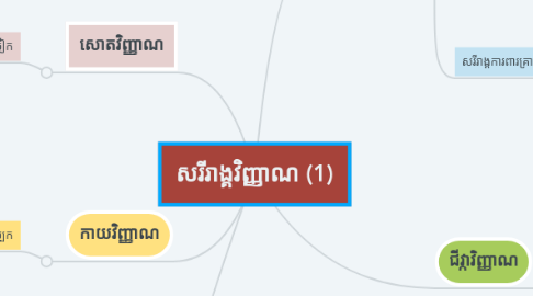Mind Map: សរីរាង្គវិញ្ញាណ (1)