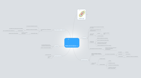 Mind Map: Multiresistente bakterier