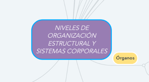 Mind Map: NIVELES DE ORGANIZACIÓN ESTRUCTURAL Y SISTEMAS CORPORALES