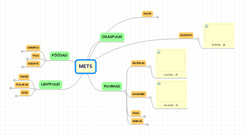 Mind Map: METS