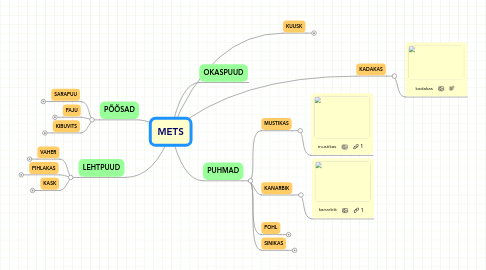 Mind Map: METS