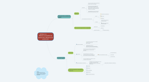 Mind Map: MÓDULO 2: Materia susceptible de protección y derecho a la protección