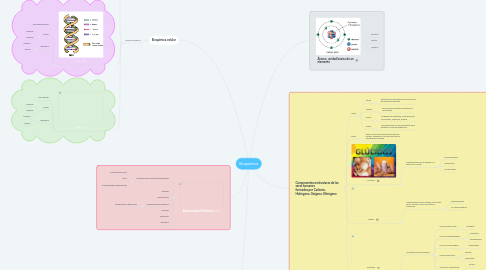 Mind Map: Bioquimica