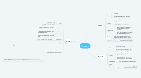 Mind Map: Lifecycles
