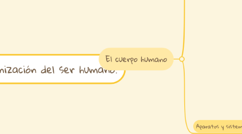 Mind Map: Niveles de organización del ser humano.