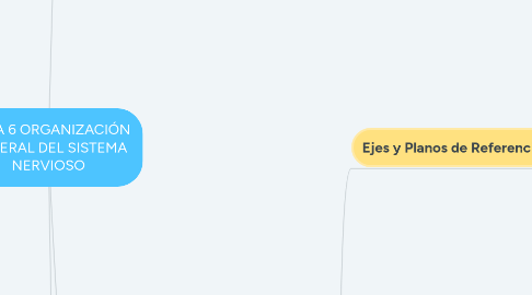Mind Map: TEMA 6 ORGANIZACIÓN GENERAL DEL SISTEMA NERVIOSO