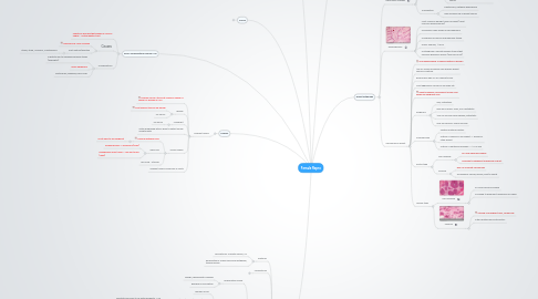 Mind Map: Female Repro