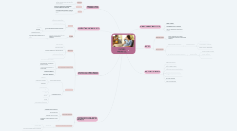 Mind Map: ESTRÉS PRENATAL