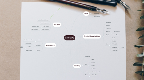 Mind Map: CARACAL