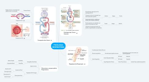 Mind Map: FISIOLOGIA RESPIRATÓRIA