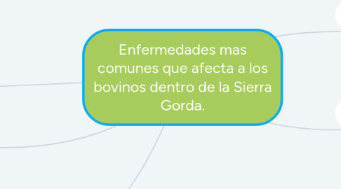 Mind Map: Enfermedades mas comunes que afecta a los bovinos dentro de la Sierra Gorda.