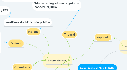 Mind Map: Caso Judicial Nabila Riffo