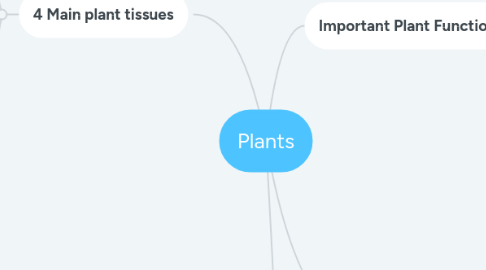 Mind Map: Plants