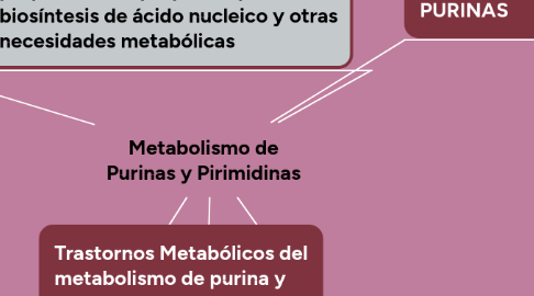 La información encima de esquema metabolismo celular