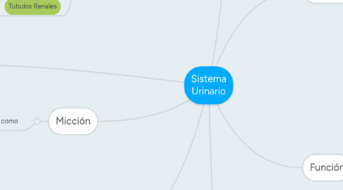 Mind Map: Sistema Urinario