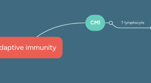 Mind Map: Adaptive immunity