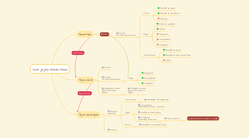 Mind Map: Ciclo jejum-alimentado
