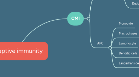 Mind Map: Adaptive immunity