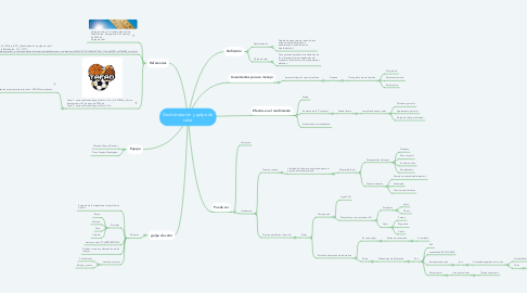 Mind Map: Deshidratación y golpe de calor