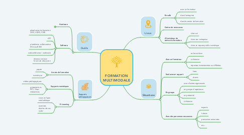 Mind Map: FORMATION MULTIMODALE