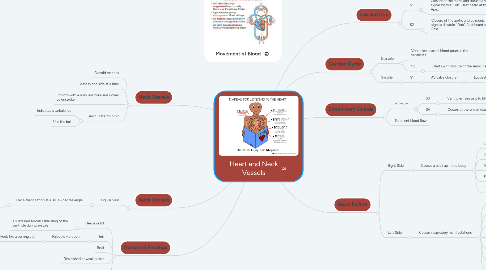 Mind Map: Heart and Neck Vessels