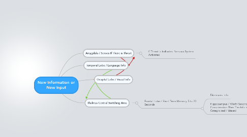 Mind Map: New Information or New Input