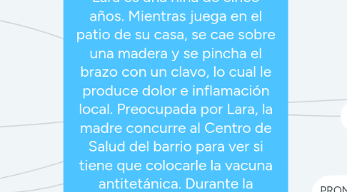 Mind Map: Lara es una niña de cinco años. Mientras juega en el patio de su casa, se cae sobre una madera y se pincha el brazo con un clavo, lo cual le produce dolor e inflamación local. Preocupada por Lara, la madre concurre al Centro de Salud del barrio para ver si tiene que colocarle la vacuna antitetánica. Durante la consulta el médico le solicita el carnet de vacunación