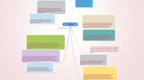 Mind Map: GIMNASIA