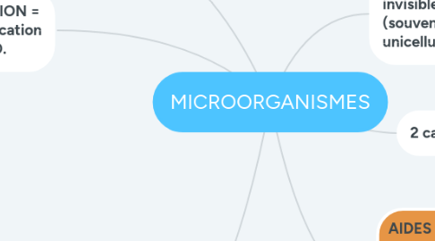 Mind Map: MICROORGANISMES