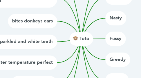 Mind Map: Toto