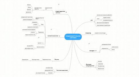 Mind Map: пищеварительная система