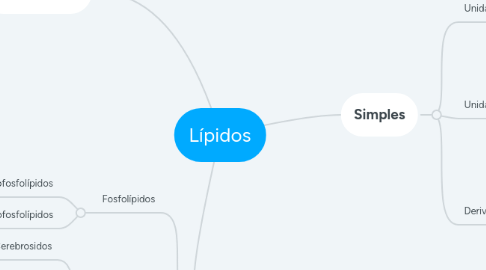 Mind Map: Lípidos