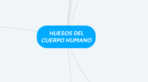 Mind Map: HUESOS DEL CUERPO HUMANO