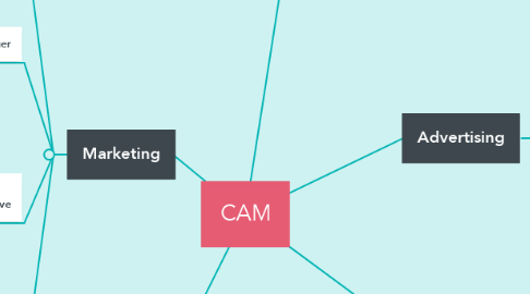 Mind Map: CAM