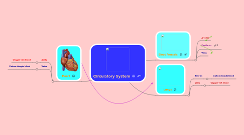 Mind Map: Circulatory System