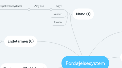 Mind Map: Fordøjelsesystem