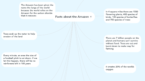 Mind Map: Facts about the Amazon