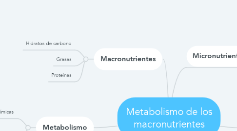 Mind Map: Metabolismo de los macronutrientes