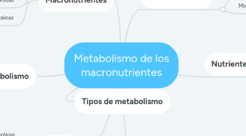 Mind Map: Metabolismo de los macronutrientes