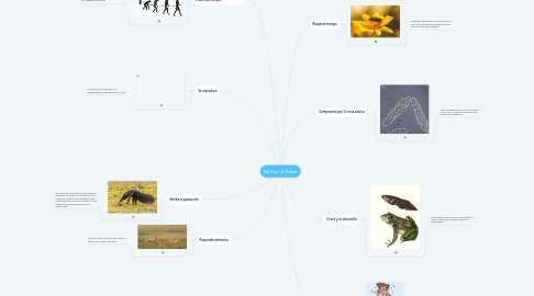 Mind Map: No Soy Un Robot