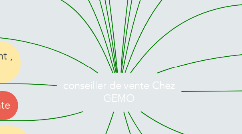 Mind Map: conseiller de vente Chez GEMO