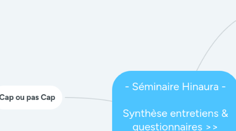 Mind Map: - Séminaire Hinaura - Synthèse entretiens & questionnaires >> << Cap ou pas cap