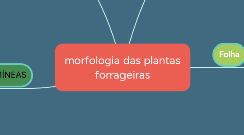 Mind Map: morfologia das plantas forrageiras