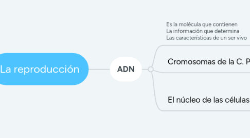 Mind Map: La reproducción