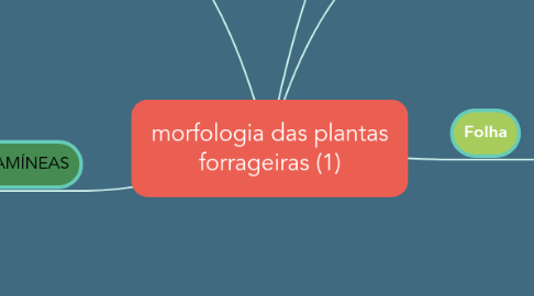 Mind Map: morfologia das plantas forrageiras (1)