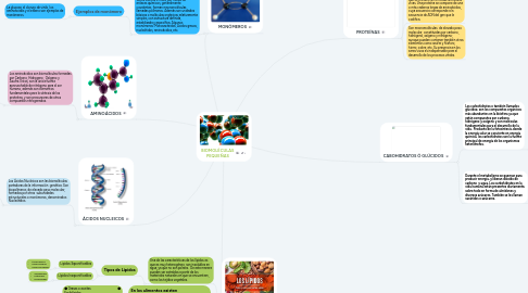 Mind Map: BIOMOLÉCULAS PEQUEÑAS