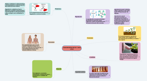 Mind Map: Características de los seres vivos